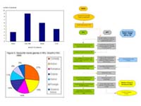 A bar graph, pie chart, and flow chart, which are all examples of complex images.